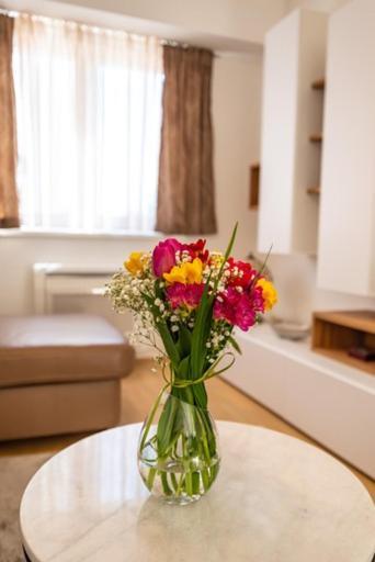 Apartment Bright Zadar